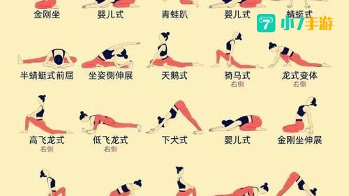 瑜伽教程下载