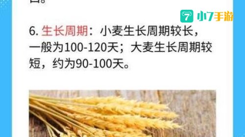 小麦大麦等禾本科作物的芒能减少