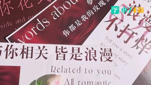 新玫瑰之约